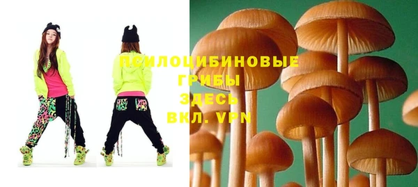 ECSTASY Каменногорск