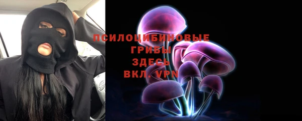 ECSTASY Каменногорск