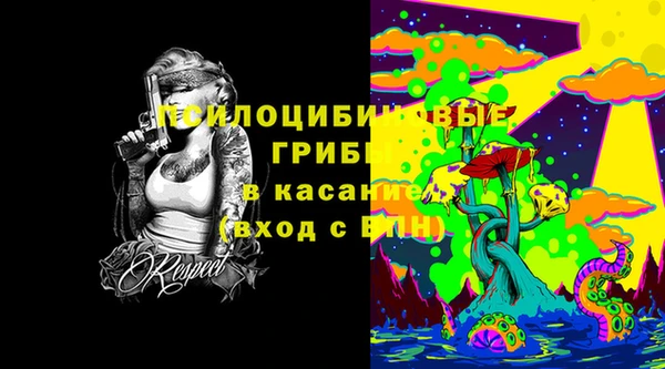 соль курить ск Каменка